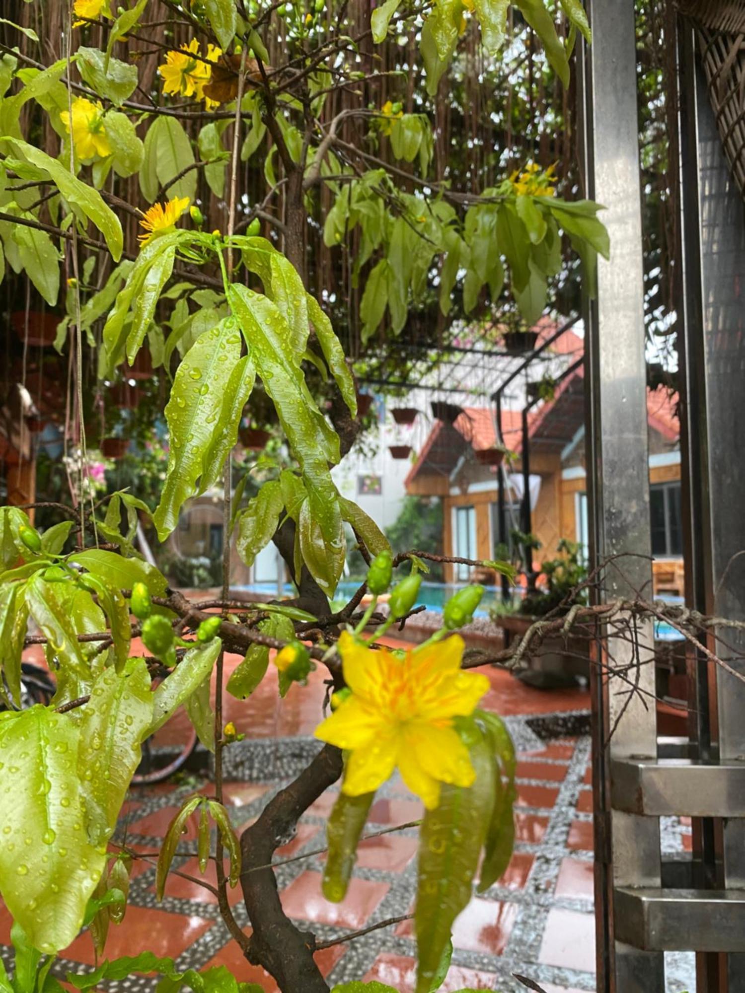 Tam Coc Charming Bungalow Ninh Binh Buitenkant foto