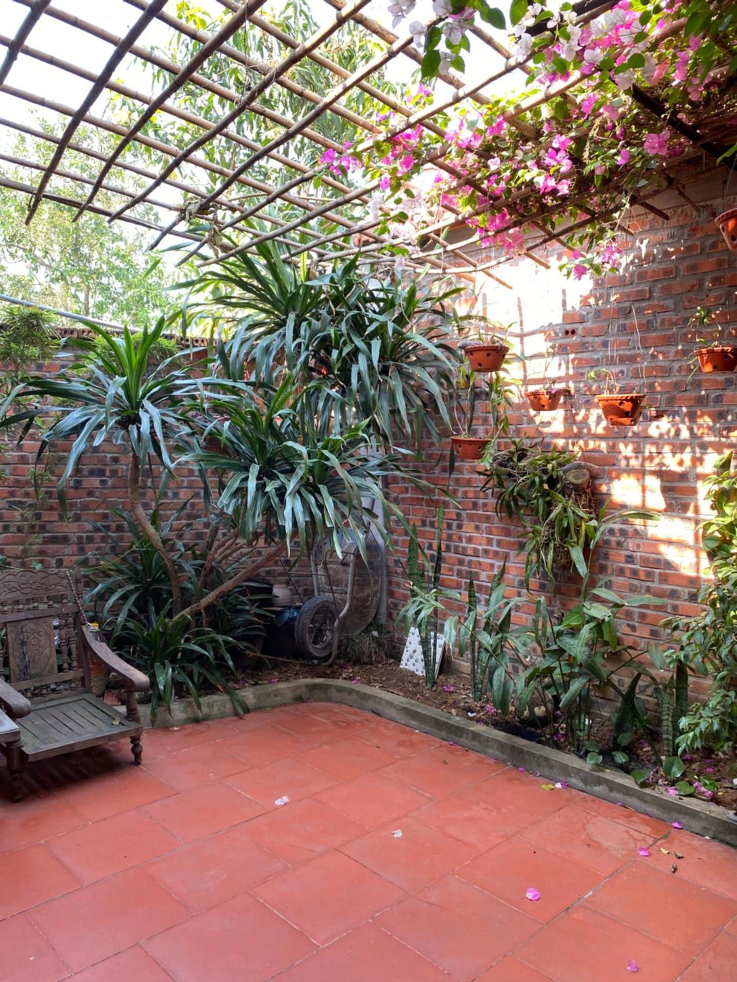 Tam Coc Charming Bungalow Ninh Binh Buitenkant foto